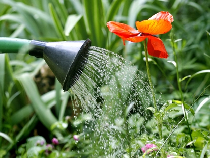 Water sensibly